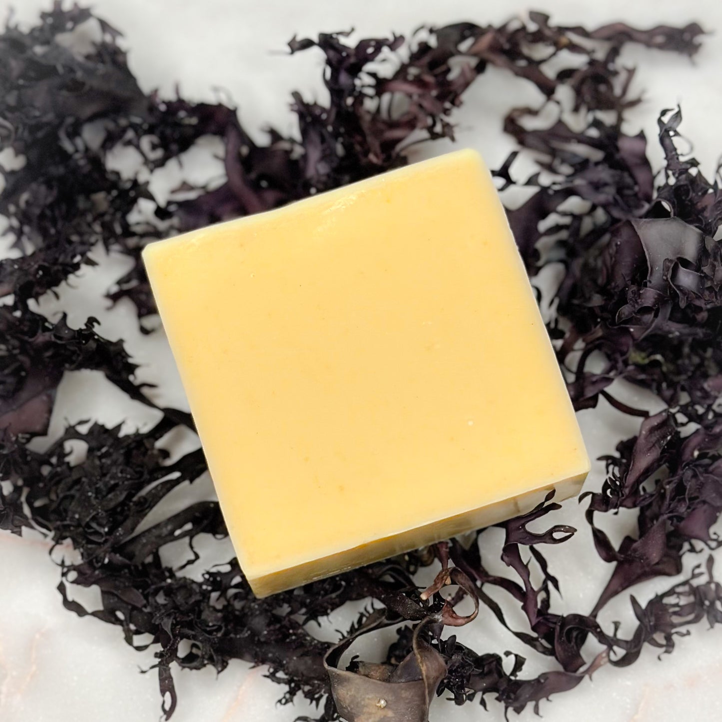Sea Moss Soap | Lavender + Tea Tree