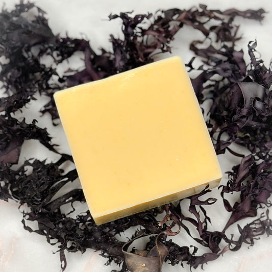 Sea Moss Soap | Lavender + Tea Tree